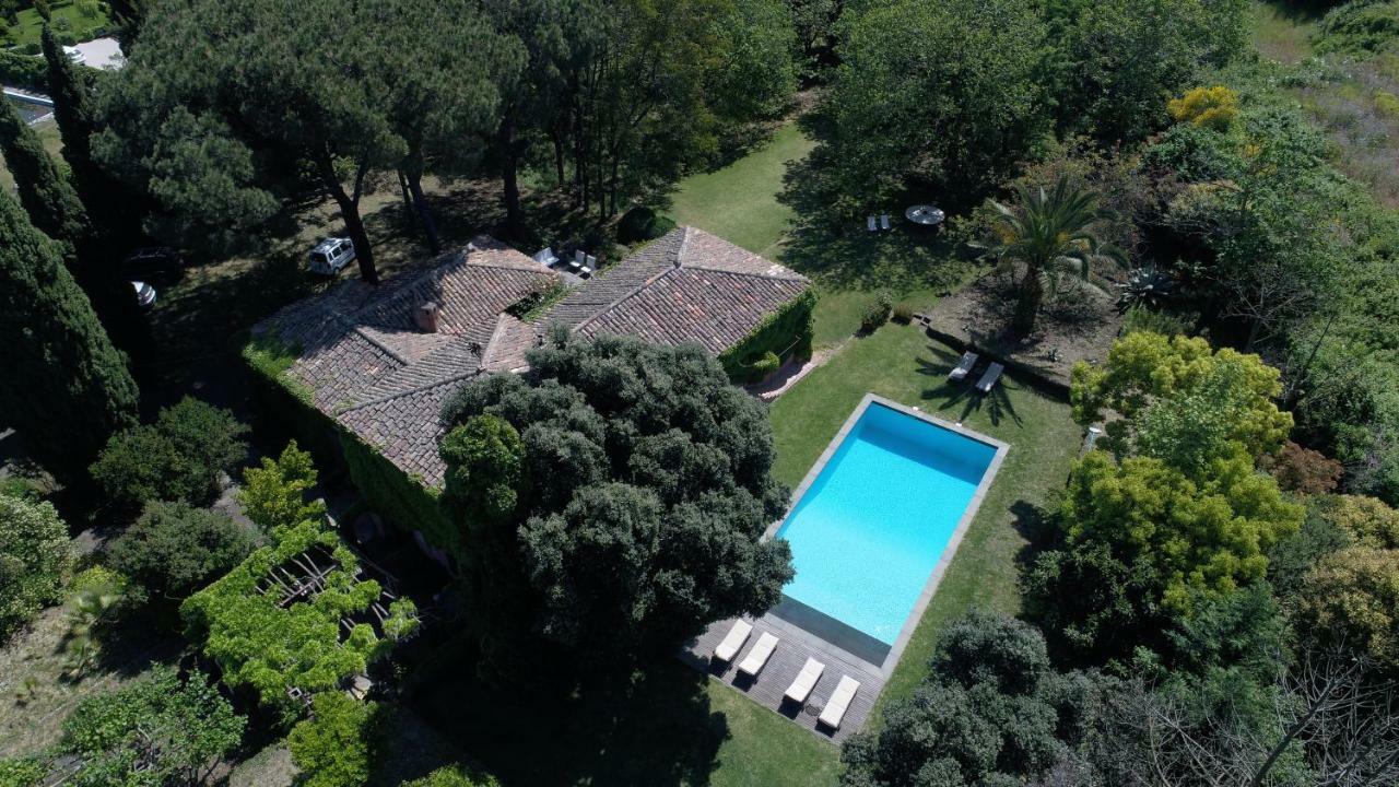 Villa Edera Viagrande Dış mekan fotoğraf