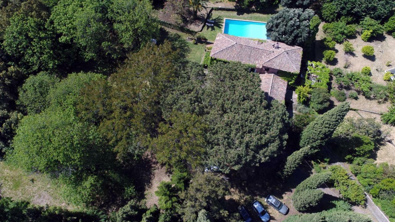 Villa Edera Viagrande Dış mekan fotoğraf