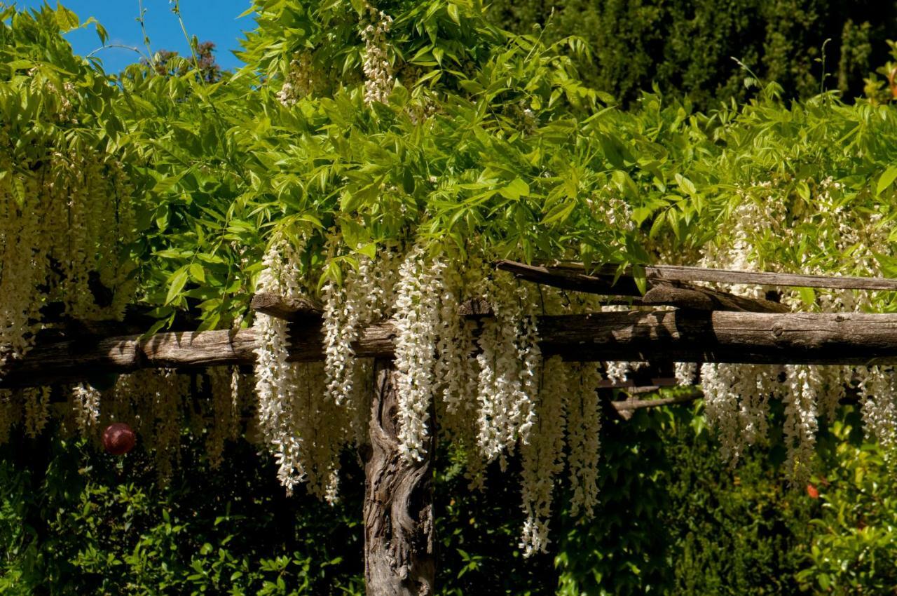 Villa Edera Viagrande Dış mekan fotoğraf